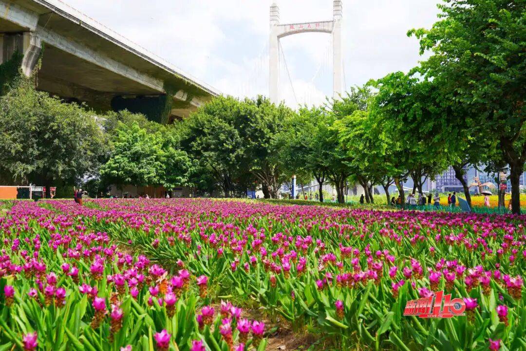 开云官方-浓眉最新消息今天